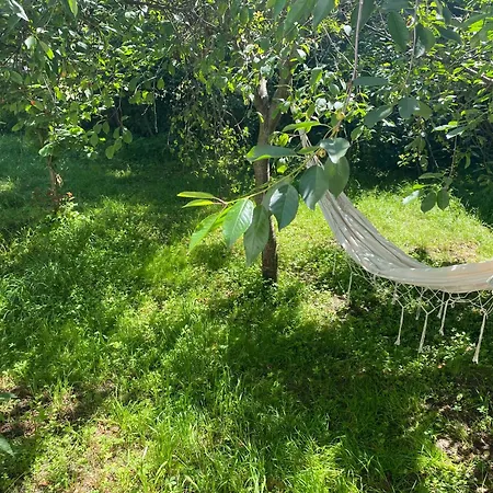 Sentina Kuca * Vrtovac